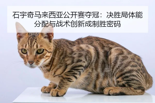 石宇奇马来西亚公开赛夺冠：决胜局体能分配与战术创新成制胜密码